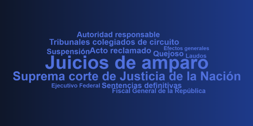 Nube de palabras del artículo 107 constitucional