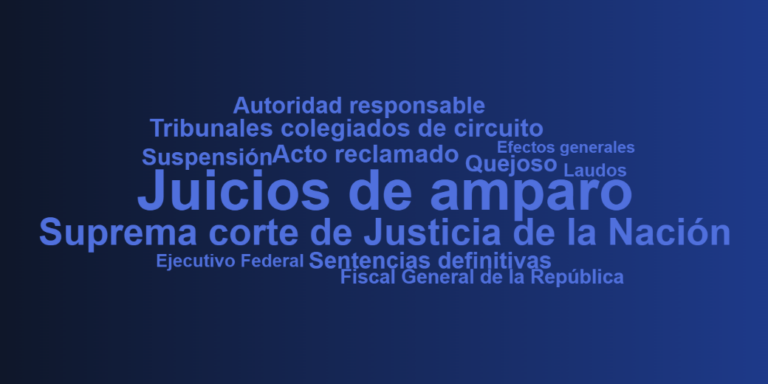 Nube de palabras del artículo 107 constitucional